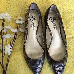 Seychelles flats!
